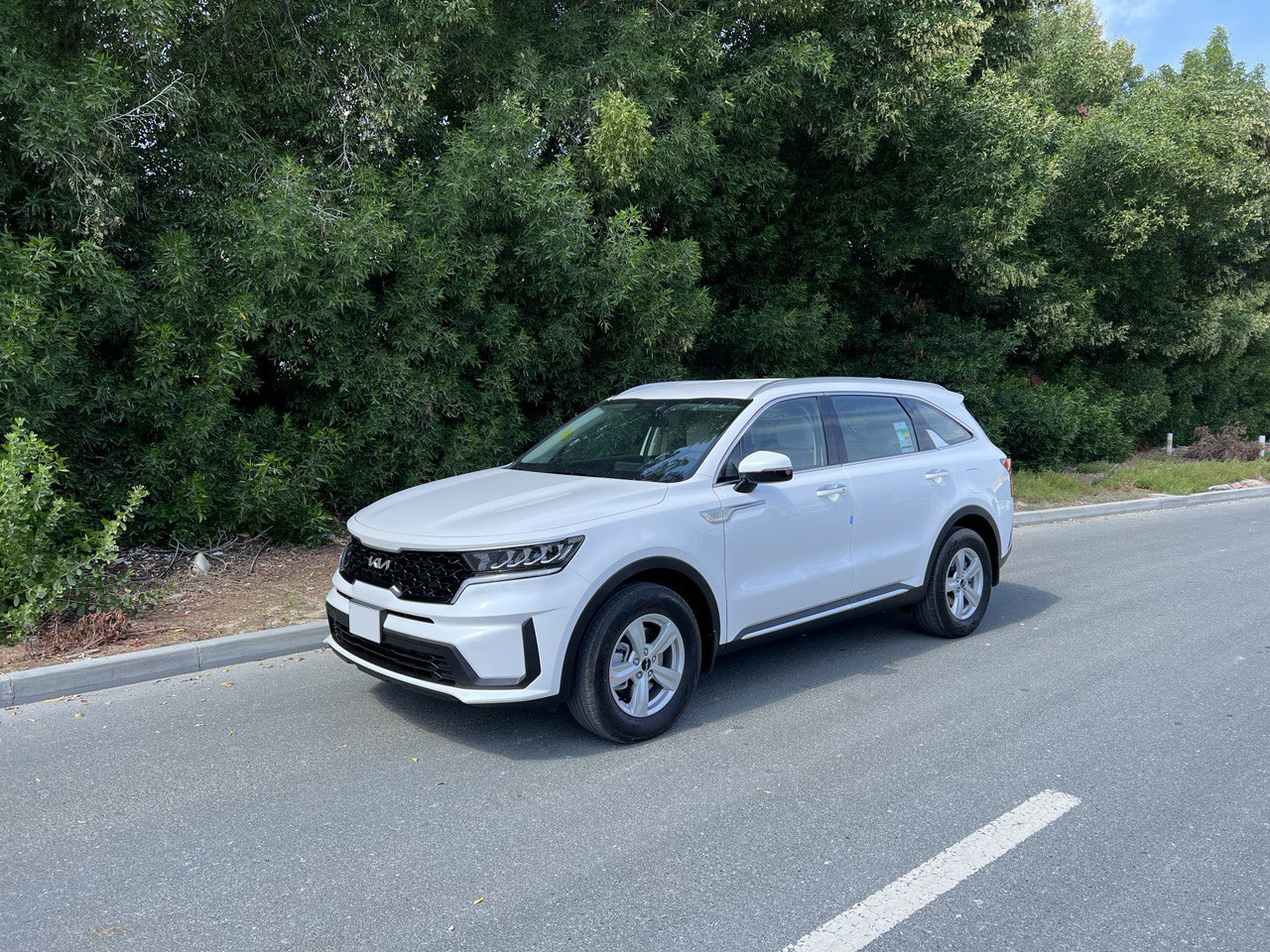 Picture Kia Sorento 